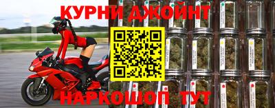 Альфа ПВП Ставрополь