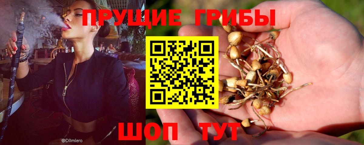Псилоцибиновые грибы GOLDEN TEACHER  Вход с VPN  Орск 